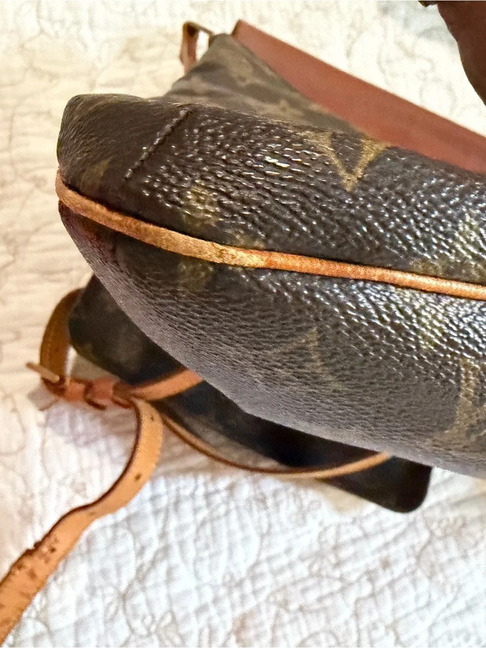 Louis Vuitton iconic louis